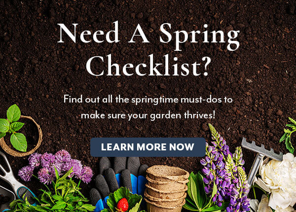 Spring Checklist