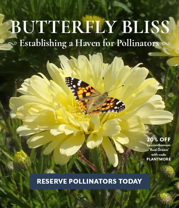 Pollinator Paradise with Butterfly Garden