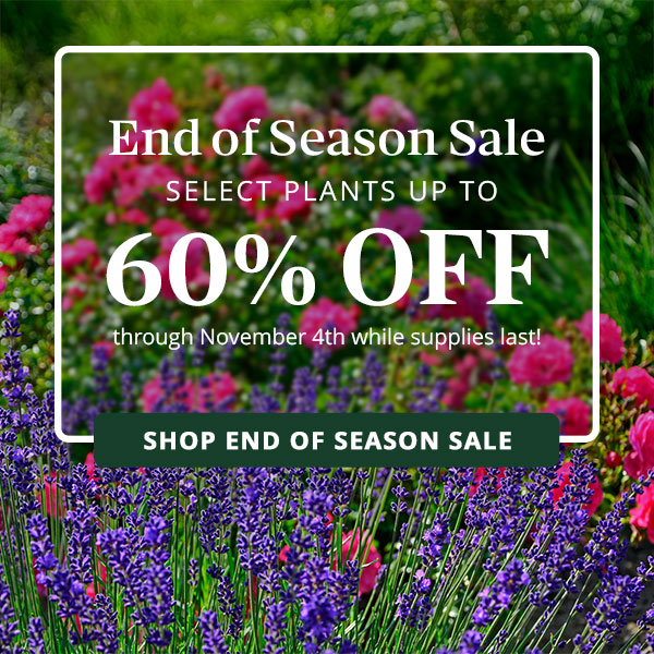 End of Season Sale Up to 50% off through November 5 while supplies last!