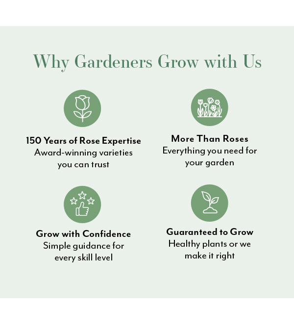 Why Gardeners Grow with Us: 150 Years of Rose Expertise, More Than Roses, Grow with confidence, guaranteed to grow