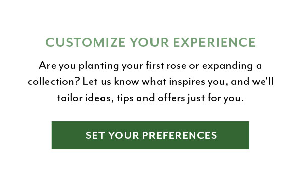 Customize Your Experience