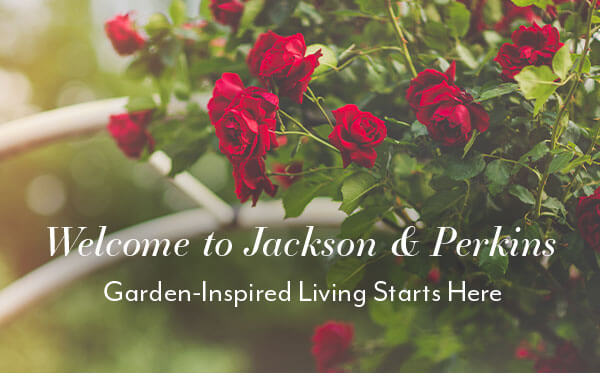 Welcome to J&P: Garden-Inspired Living Starts Here