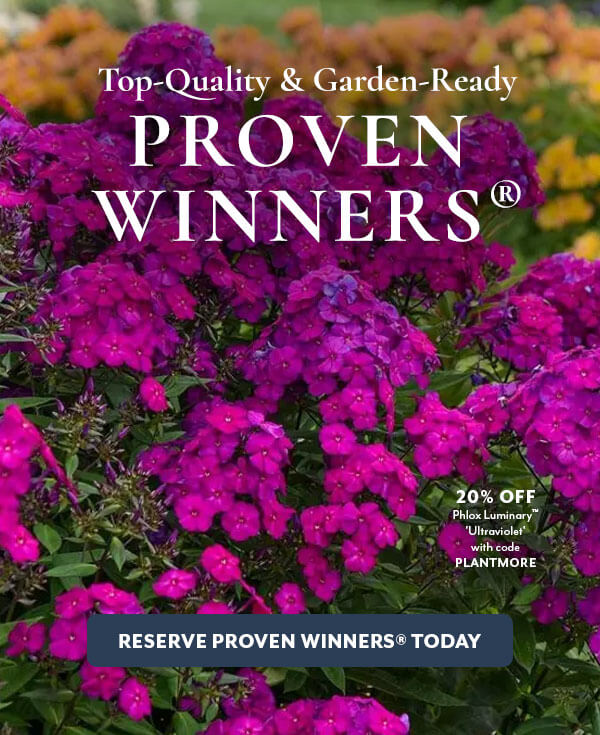 Proven Winners® Perennials