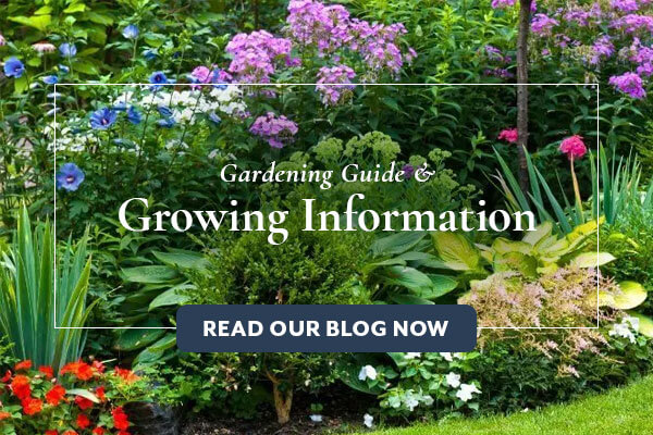 Gardening Guide