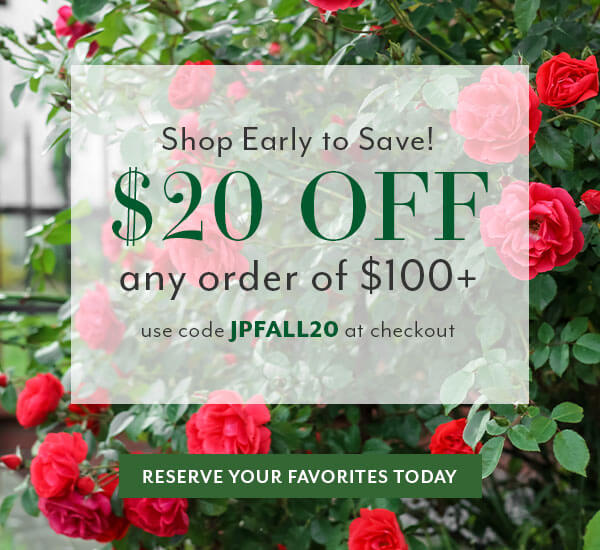 Early Order Discount: $20 OFF any $100 order with code JPFALL20