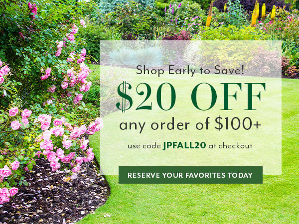 Early Order Discount: $20 OFF any $100 order with code JPFALL20