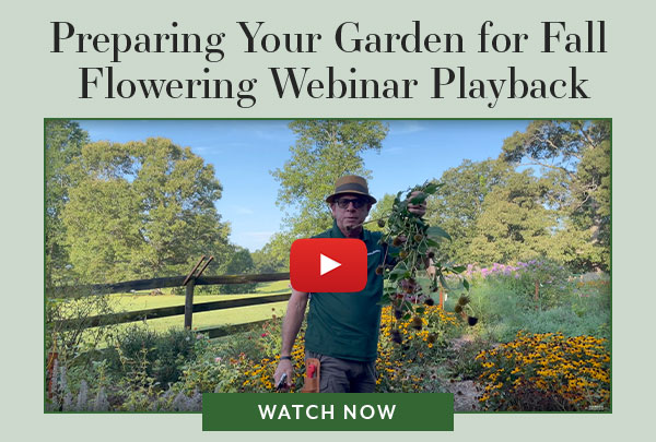 Preparing Your Garden for Fall Flowering Webinar Playback