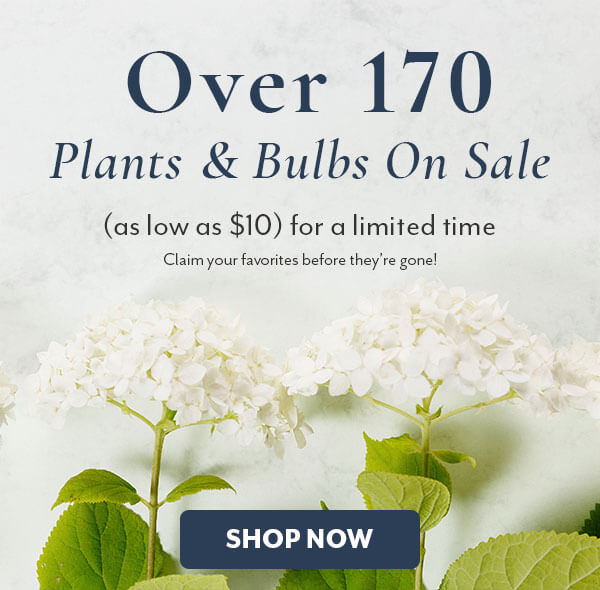 Over 170 Plants On Sale (as low as $10) for a limited time!