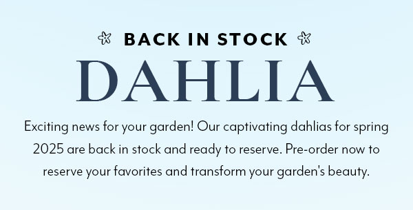 Shop Dahlia