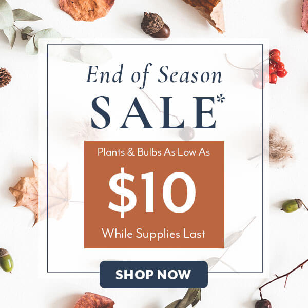 End of Season Sale