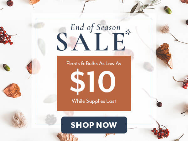 End of Season Sale