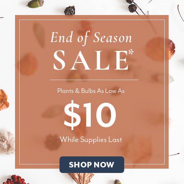 End of Season Sale