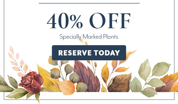 Fall Favorites Sale 40% Off