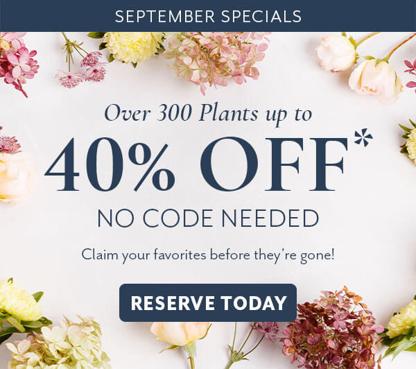 September Specials up to 40% Off