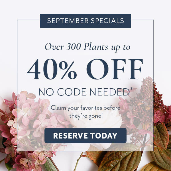 September Specials up to 40% Off