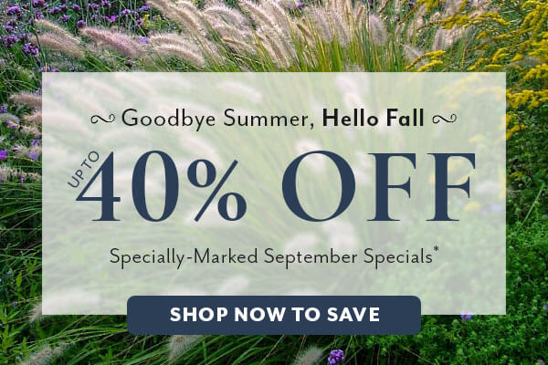 September Specials up to 40% Off