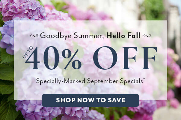 Fall Favorites Sale