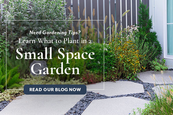 Small Space Garden Blog