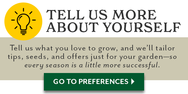 Tell Us More About Yourself