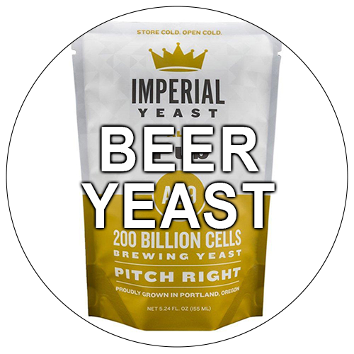 Beer Yeast