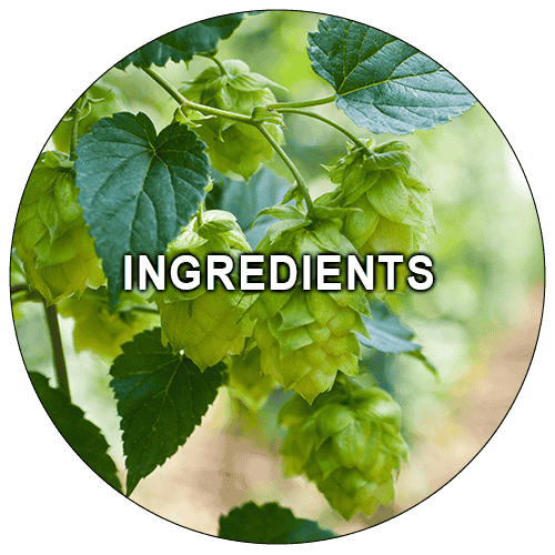 Beer Ingredients