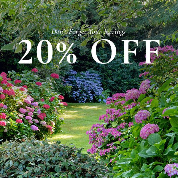 Don't Forget Your Savings - 20% OFF