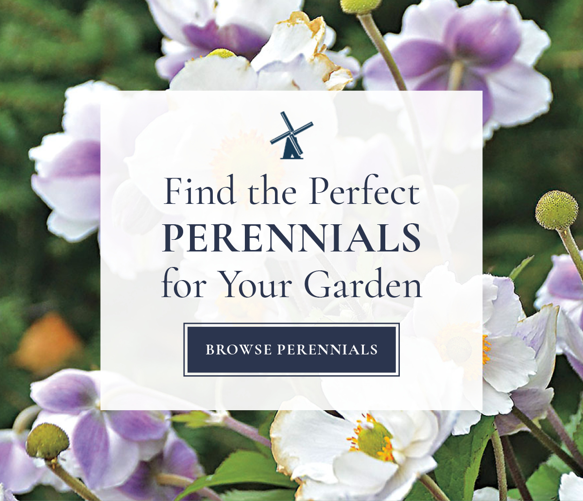 Your Perfect Garden Awaits