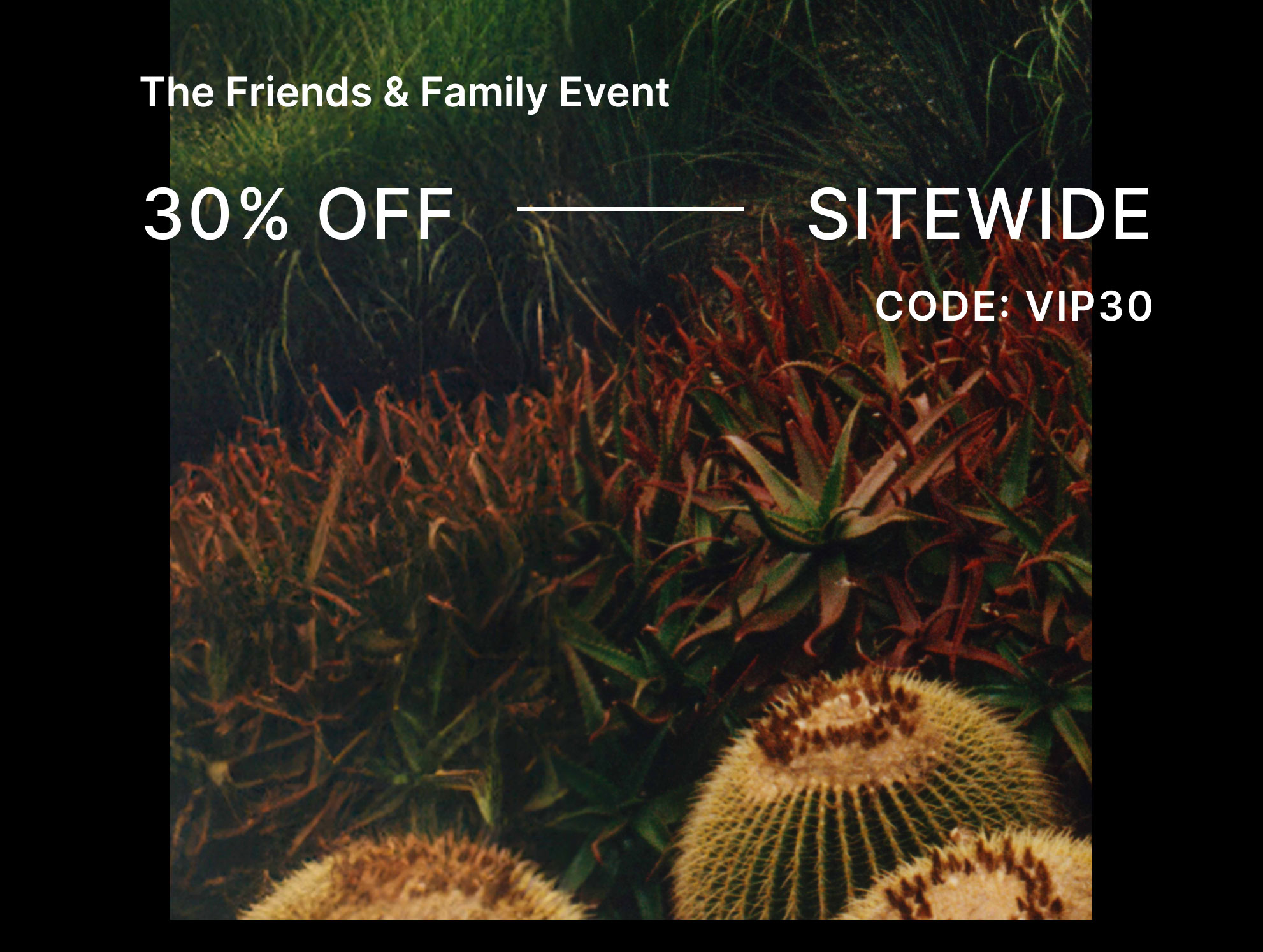 Shop | VIP Access | 30% Off Sitewide