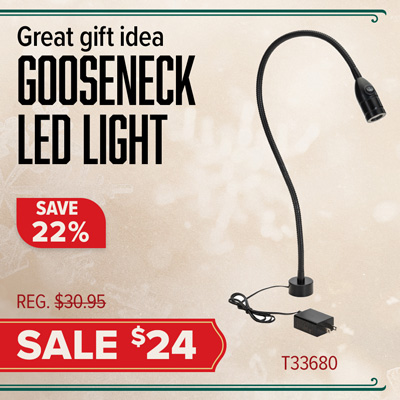 Gooseneck LED Light