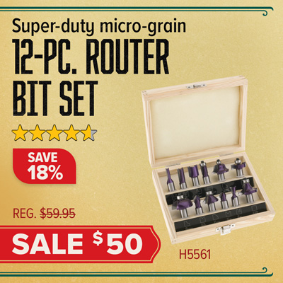 12 Piece Router Bit Set