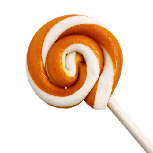 Hammond's Organic Swirl Lollipop - Orange
