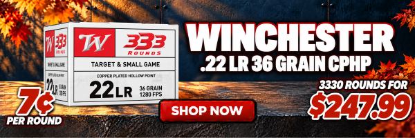 Winchester .22 LR 36 Grain CPHP