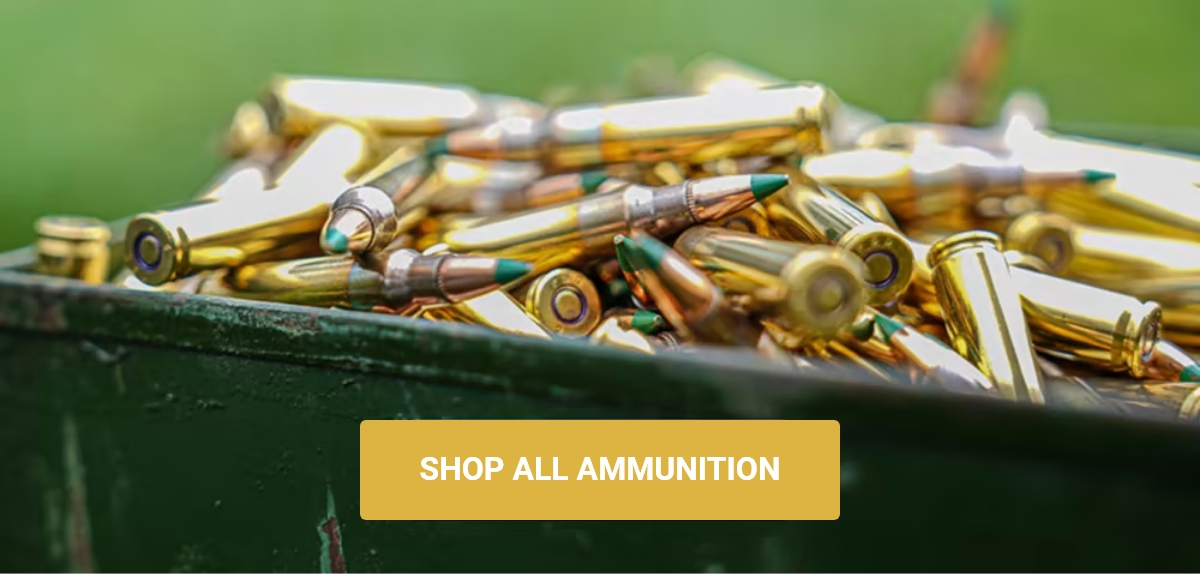 Shop All Ammunition