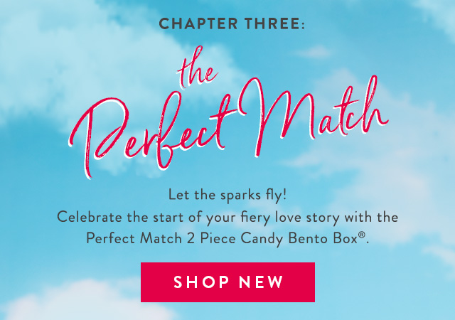 Chapter Three: The Perfect Match