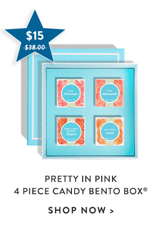 Pretty in Pink 4 Piece Candy Bento Box