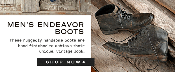 Men's Endeavor Boots