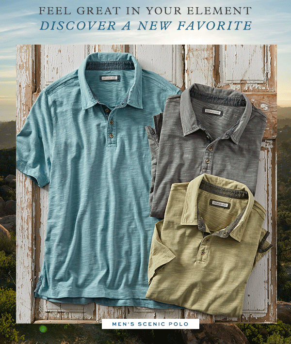 Men's Scenic Polo