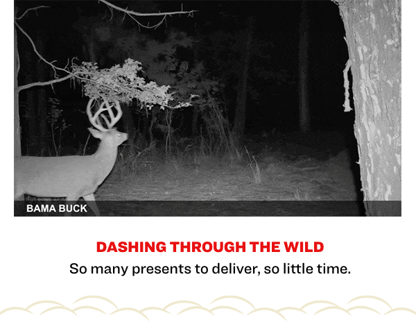 Dashing Through the Wild