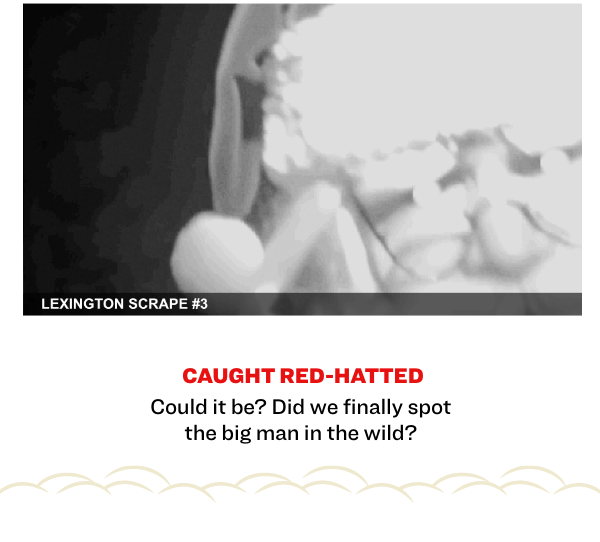 Caught Red-Hatted