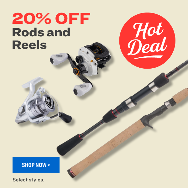 Rods and reels