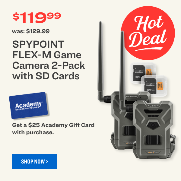Game Camera 2-Pack