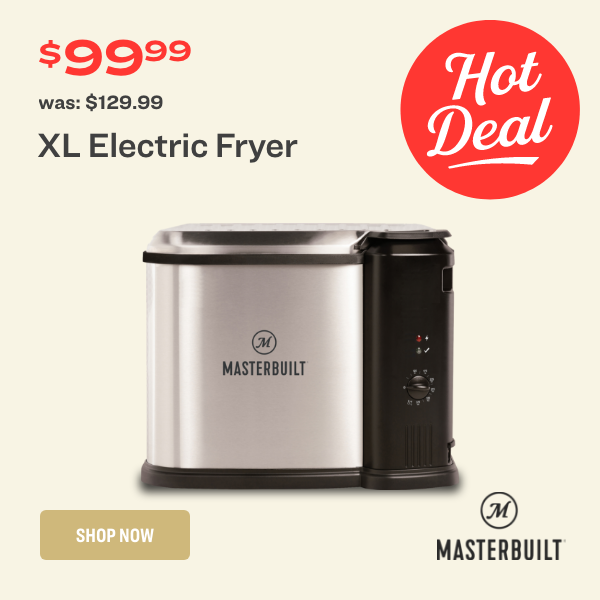 Electric Fryer