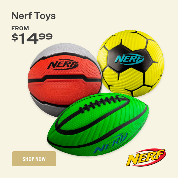 Nerf Toys