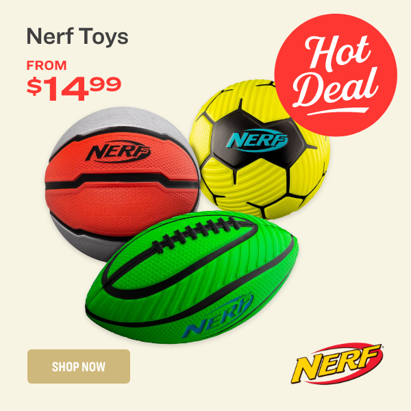 NERF TOYS