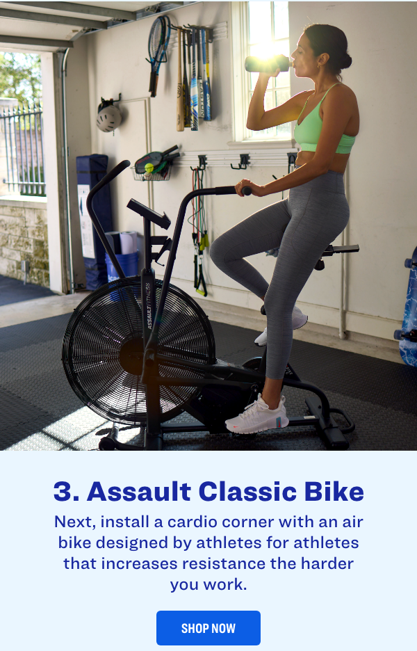 Assault Classic Bike