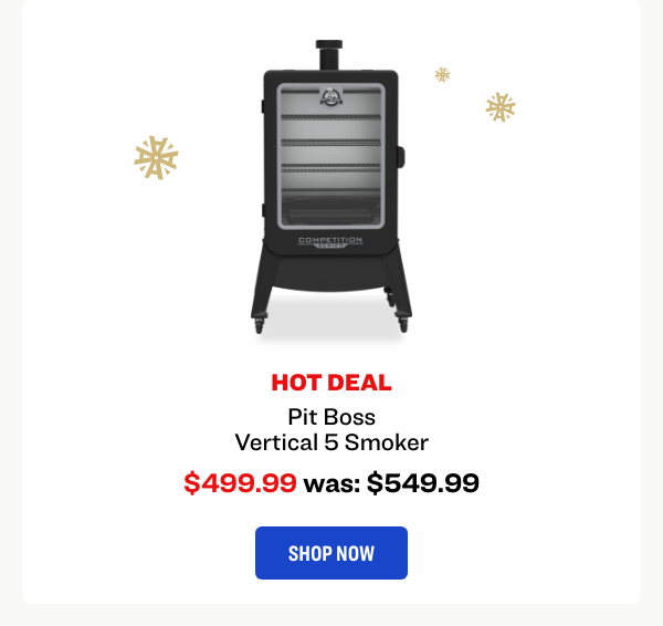 Pit Boss Vertical 5 Smoker