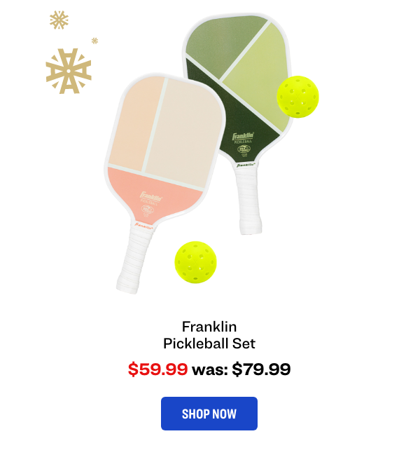 Pickleball Set