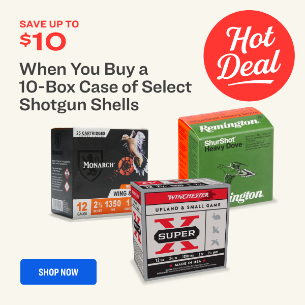 Save up to $10 Offer