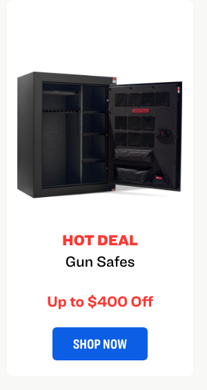 Gun Safe