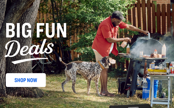 Big Fun Deals